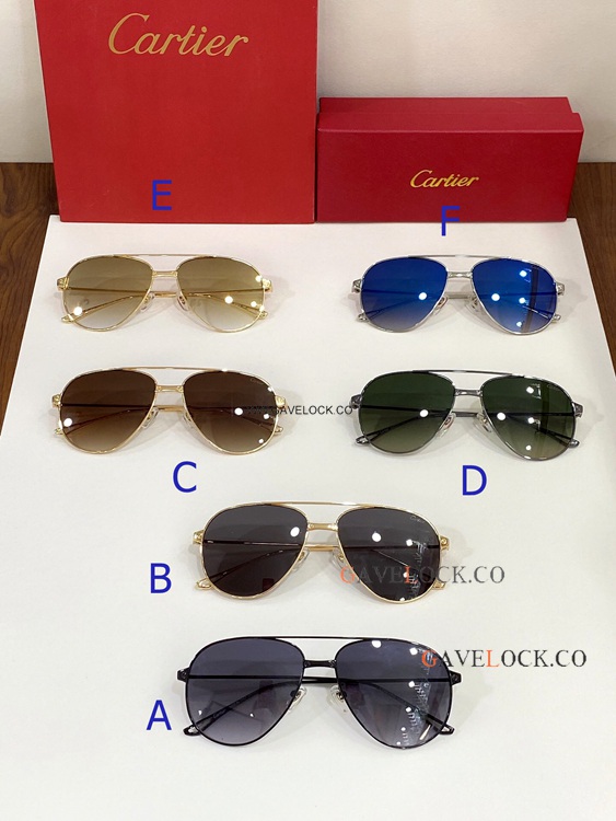 Santos Cartier esw00559 Sunglasses Copy Double Bridge